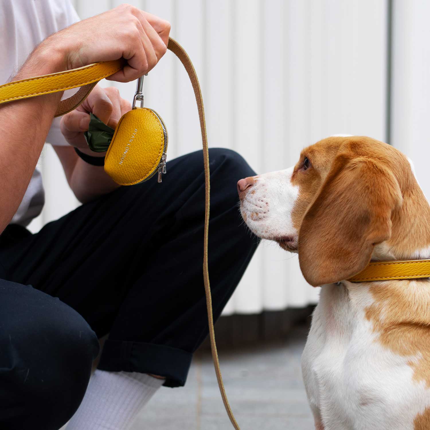 Leather Dog Collar - Yellow and Beige - Image 6