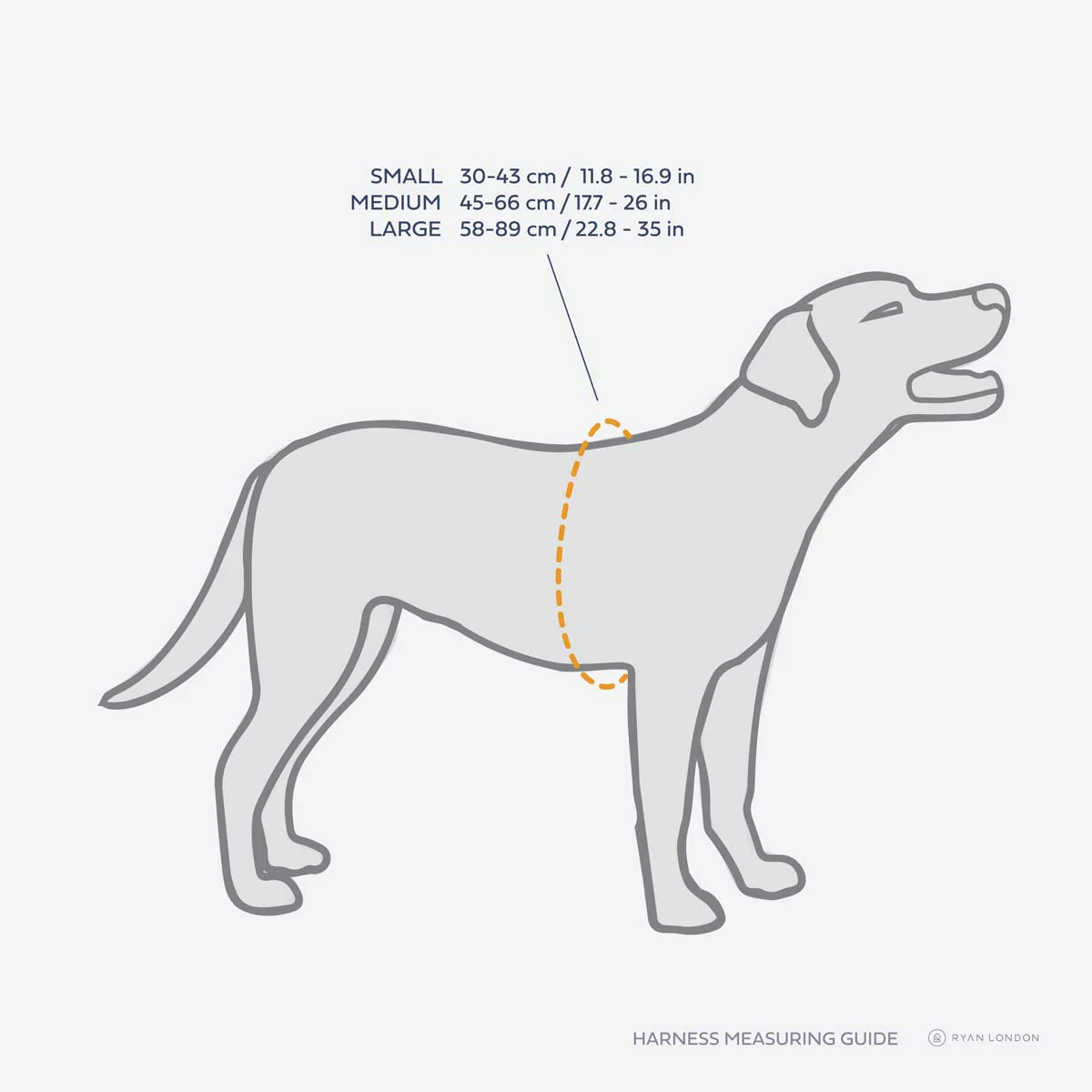 Leather Dog Harness - Blue and Orange - Image 4