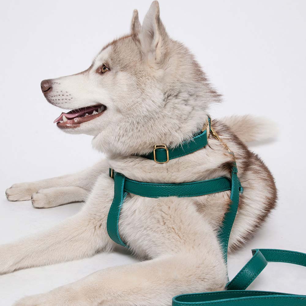 Leather Dog Lead - Avocado Green - Image 3