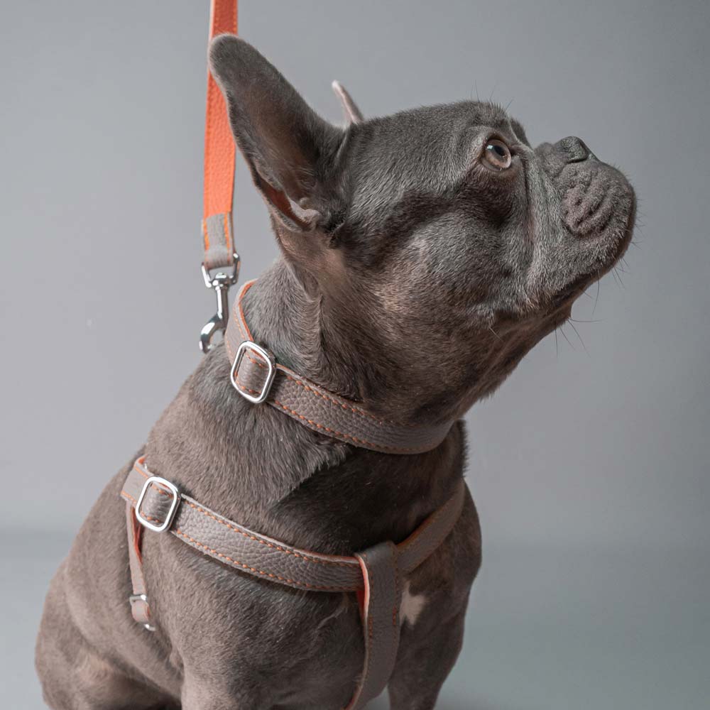 Leather Dog Lead - Grey and Coral - Image 3