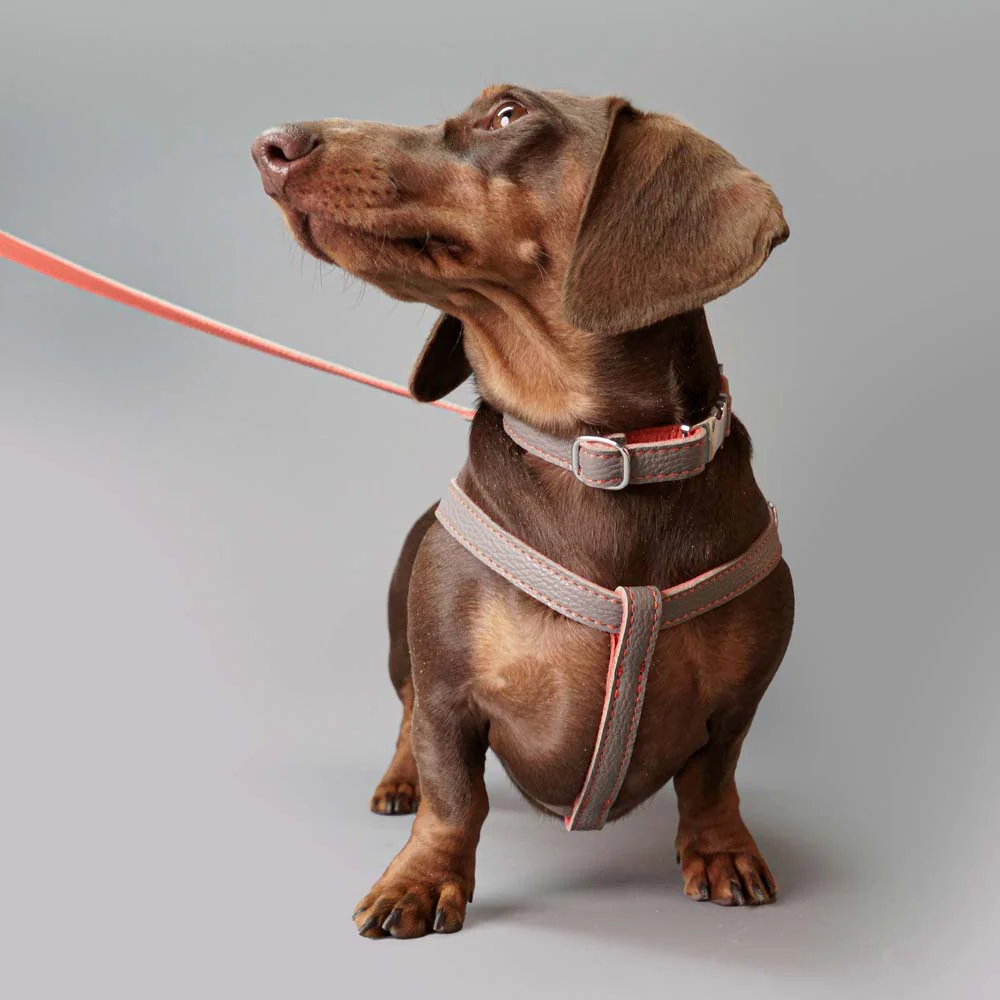 Leather Dog Lead - Grey and Coral - Image 4
